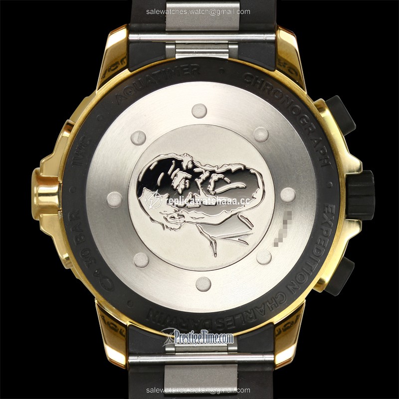 iw379503 Expedition Charles Darwin IWC Aquatimer Chronograph Special Edition Mens Watch 1 iw379503 Expedition Charles Darwin IWC Aquatimer Chronograph Special Edition Mens Watch 1