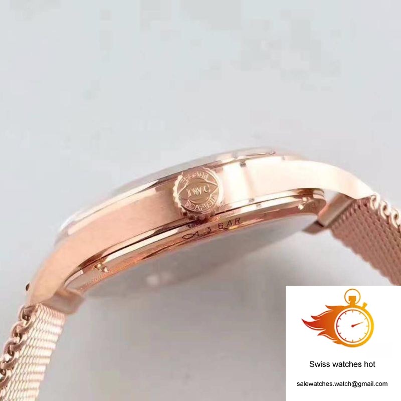 IWC Portugieser Regulateur IW544402 YL Factory White Dial 5 IWC Portugieser Regulateur IW544402 YL Factory White Dial 5